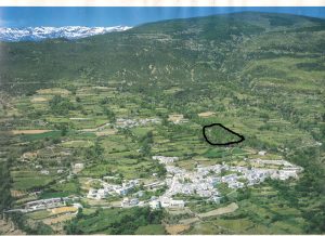 Situation of Cortilo marked 